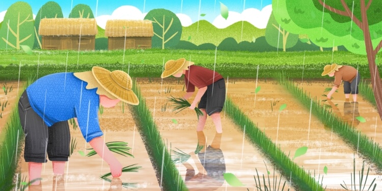 上一节气