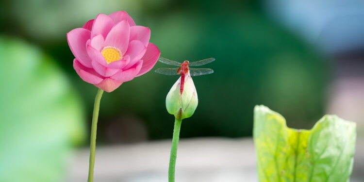 上一节气