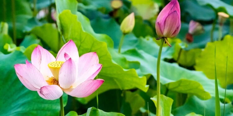 上一节气
