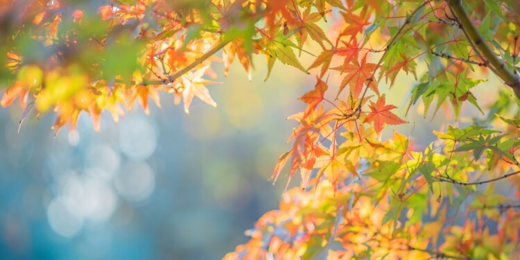 上一节气