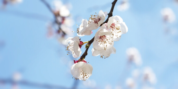 下一节气