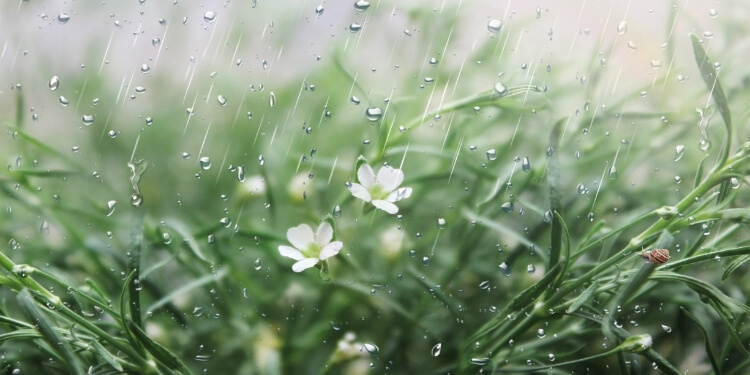 下一节气