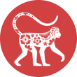 冲煞
